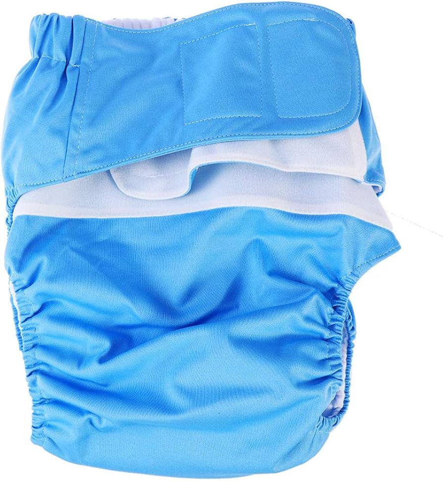 carregour pampers pants