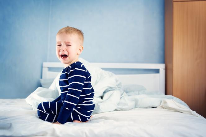 pieluszki bambusowe ega toddlersi