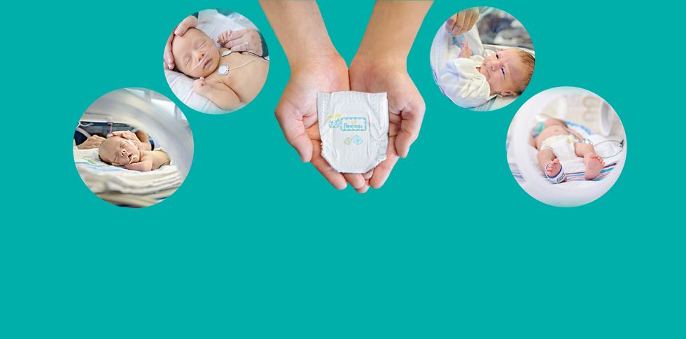 pampers pro care czy premium care