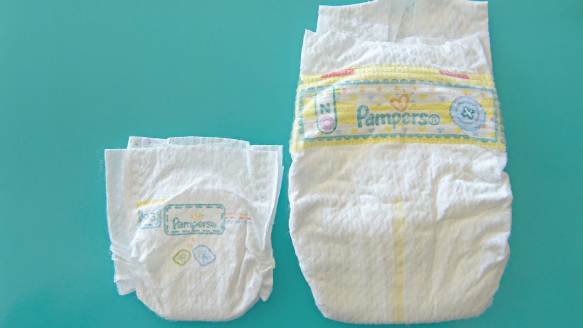 program pampers canon