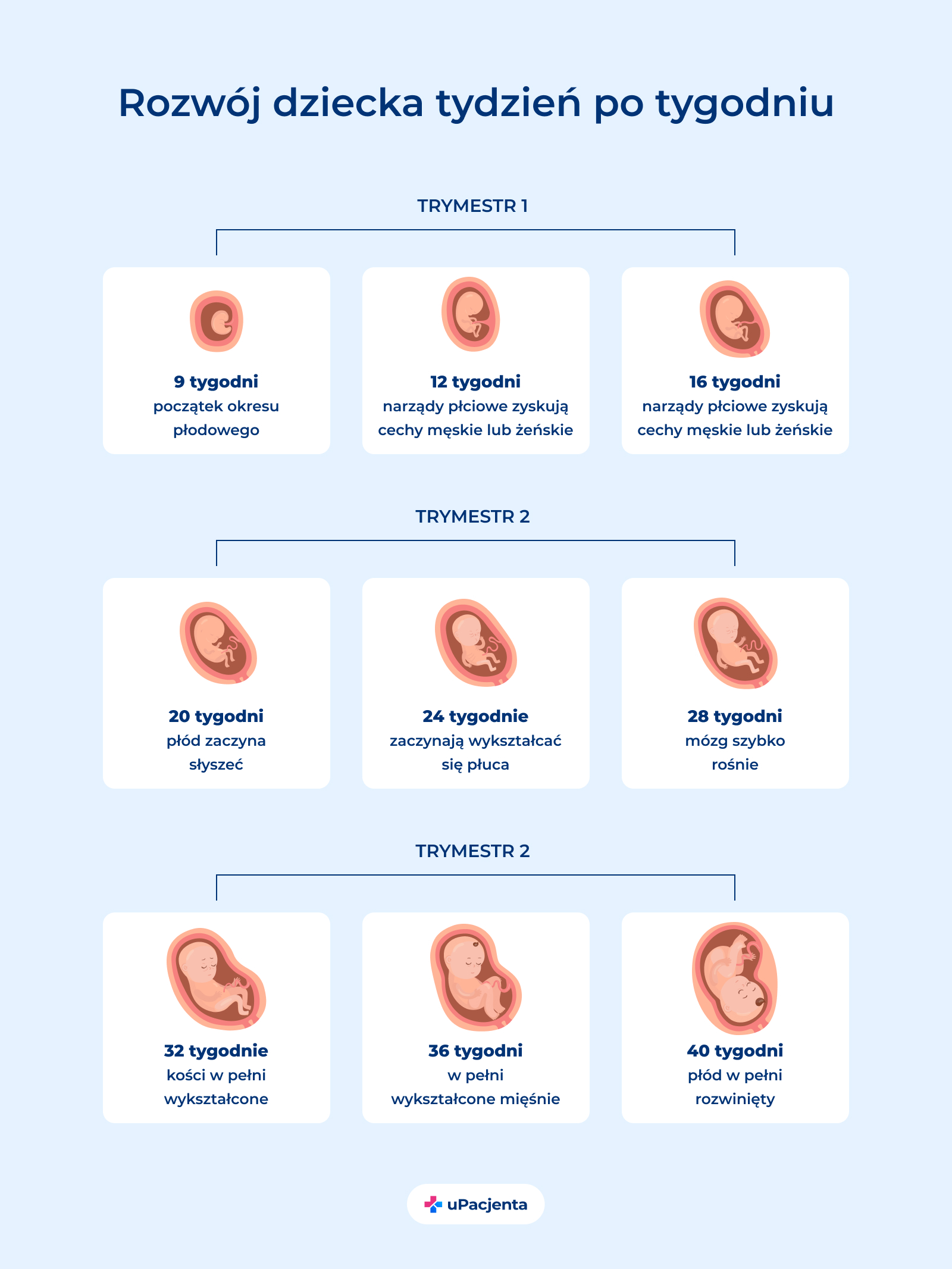 pampers preemie protection p2