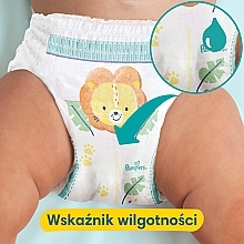 pampers pants 6 88