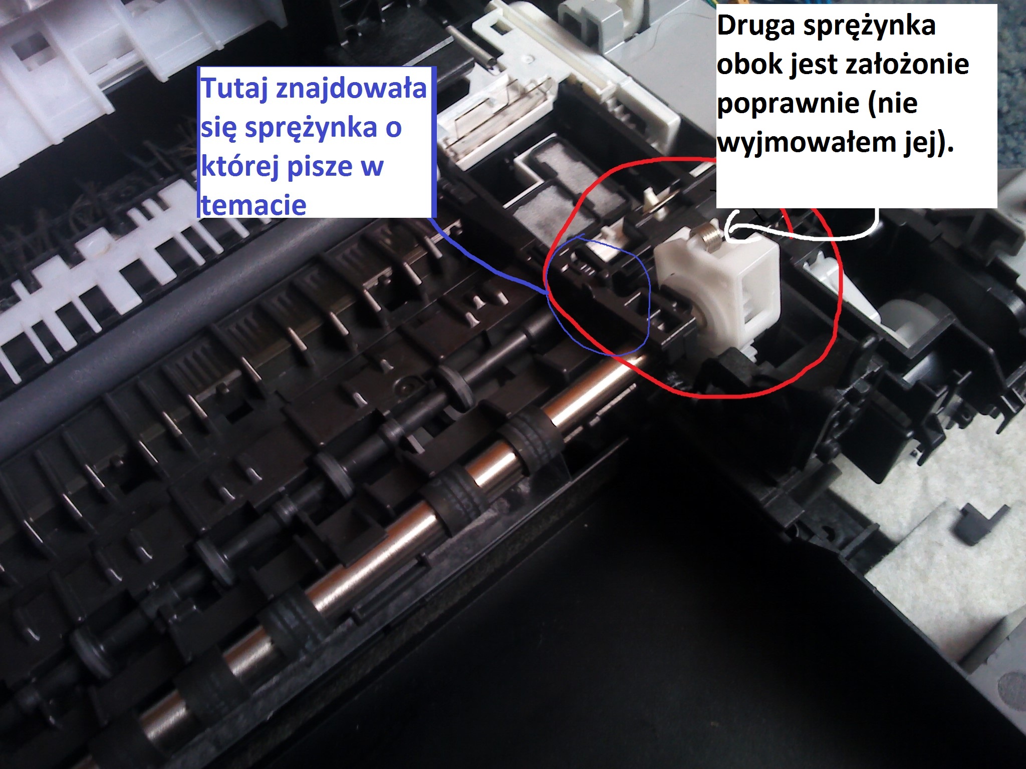 pieluchomajtki dla dorosłych site allegro.pl