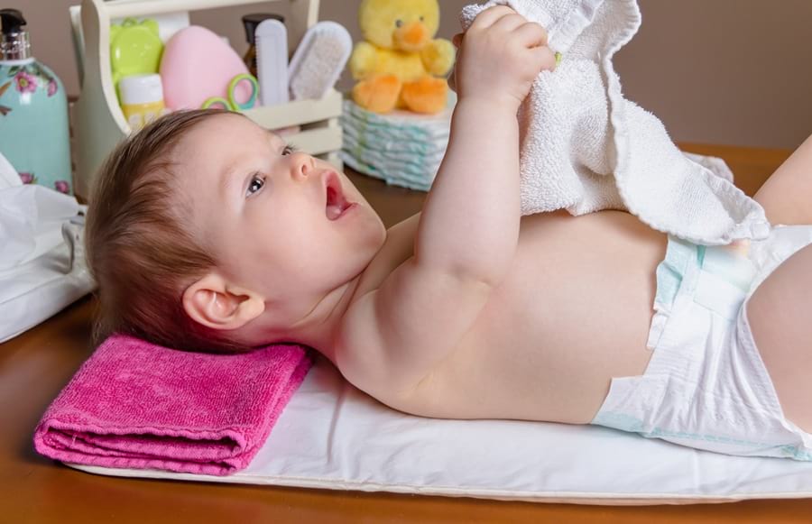 pampers dla psa dorosłych