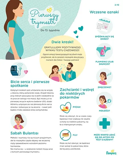 pampers premium care auchan