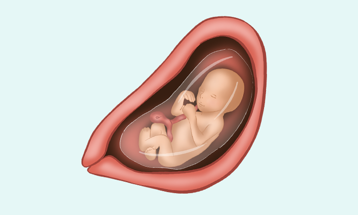 babyono pieluszki muślinowe limonkowe 3 szt