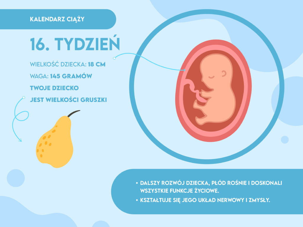 Mała Syberyka. Organiczny krem do codziennej pielęgnacji niemowląt 75ml