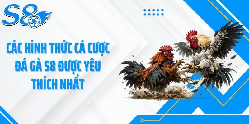 Các hình thức cá cược đá gà S8 được yêu thích nhất