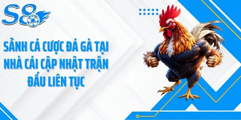 Sảnh cá cược đá gà tại nhà cái cập nhật trận đấu liên tục